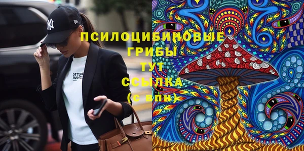 меф Белокуриха