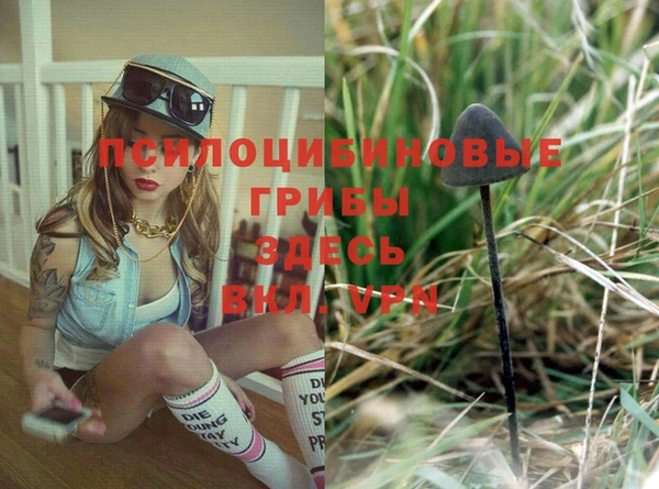 меф Белокуриха